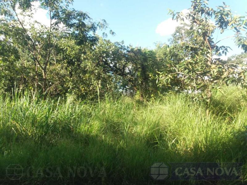 Lote no Floresta, Divinópolis