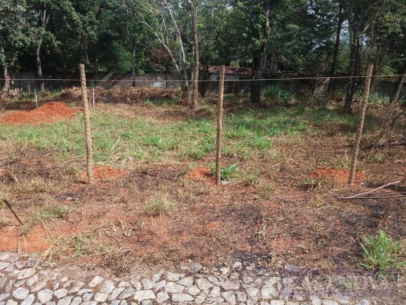 Lote no Gafanhoto, Divinópolis