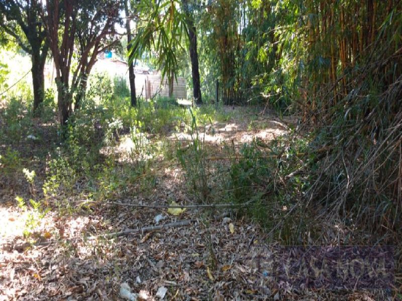 Lote no Orion, Divinópolis