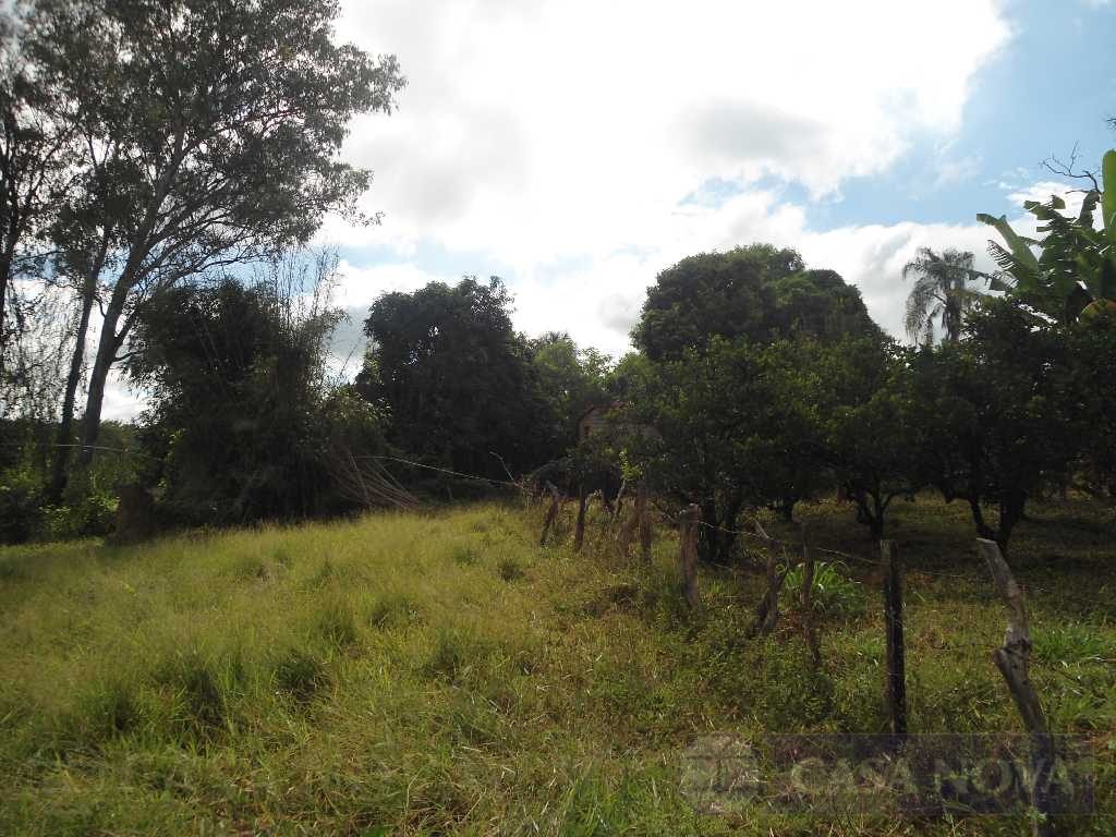 Sítio à venda na Ermida com 11500 m² — foto 4