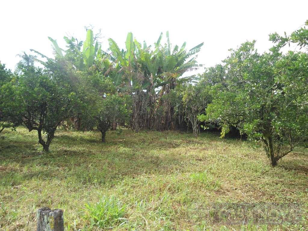 Sítio à venda na Ermida com 11500 m² — foto 5