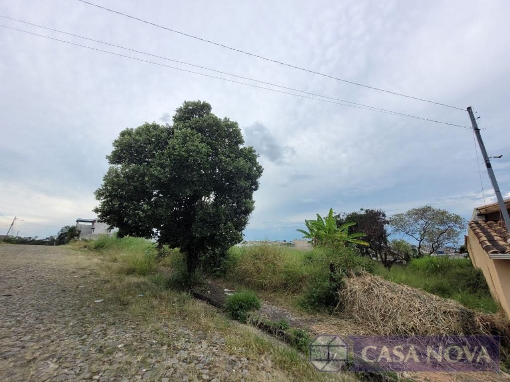 Lote à venda na Dona Rosa com 490 m² — foto 2