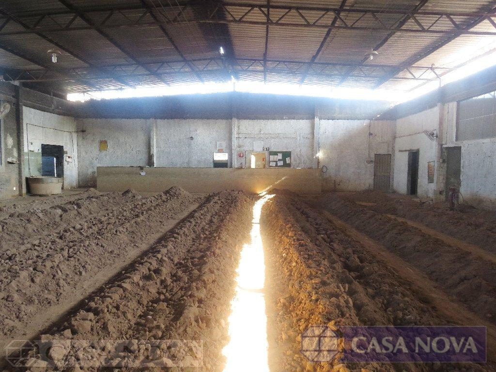 Galpão à venda no Centro Industrial com 1200 m² — foto 3