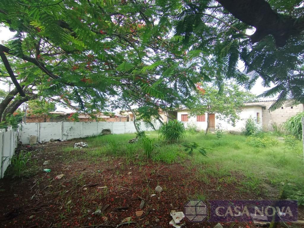 Lote à venda na Candelária com 300 m² — foto 3