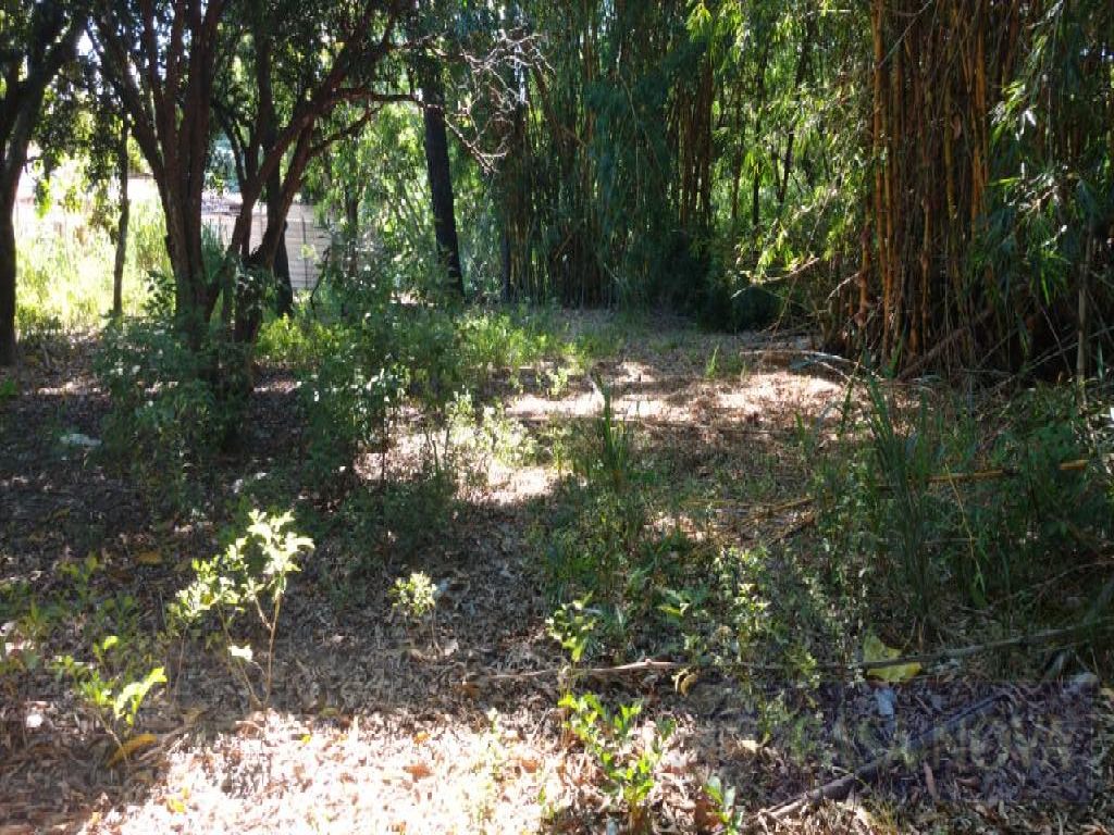Lote à venda no Orion com 400 m² — foto 2