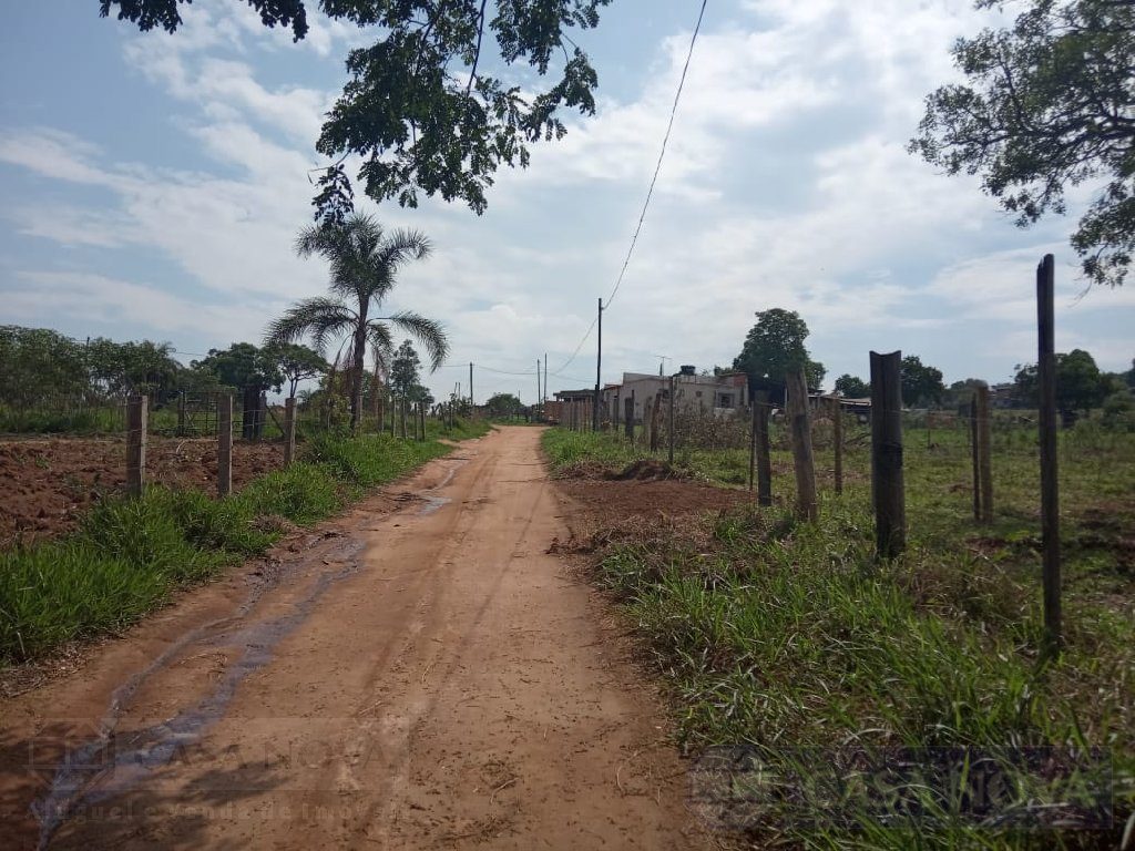 Sítio à venda nos Candides com 5000 m² — foto 4