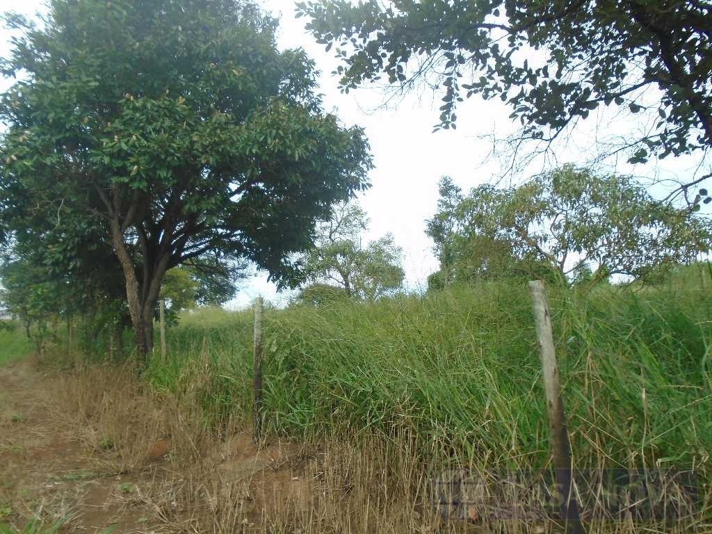 Area à venda no Realengo — foto 4