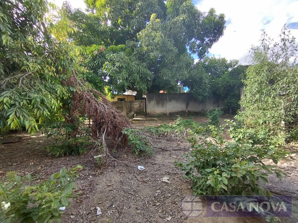 Lote para alugar no Afonso Pena com 400 m² — foto 3