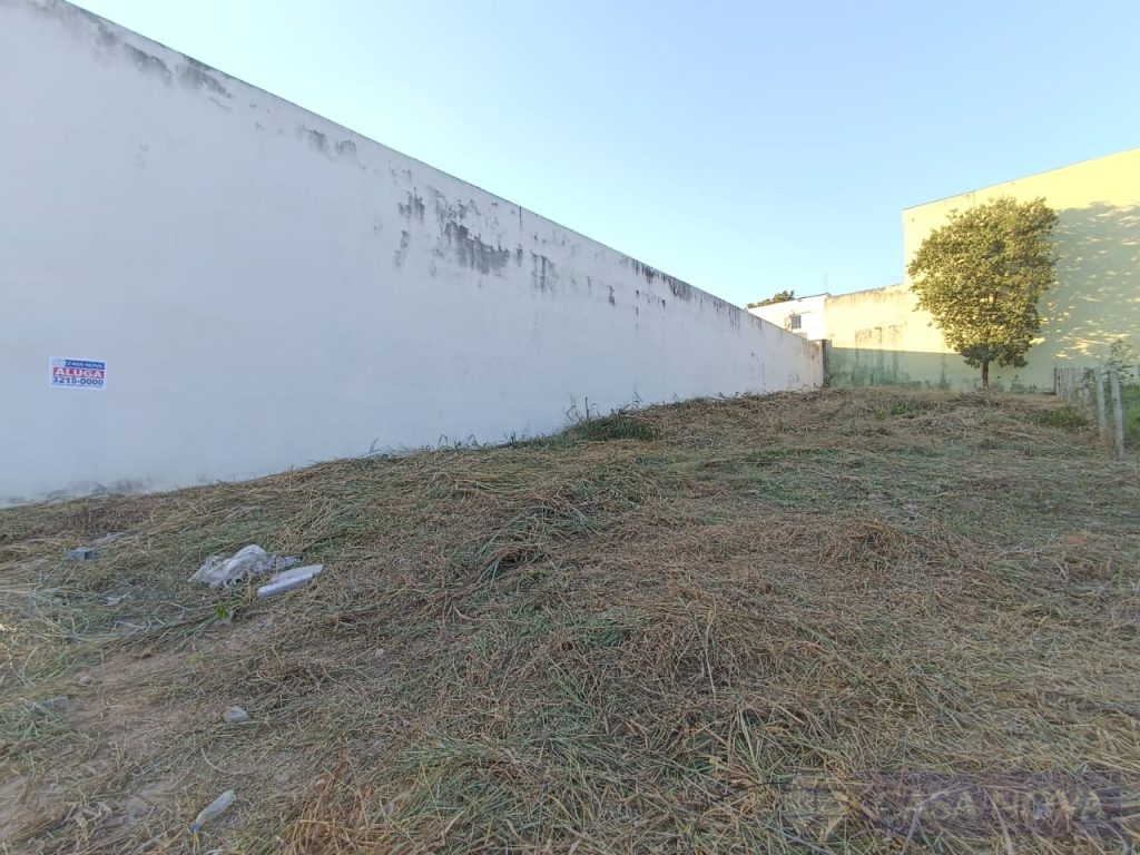 Lote para alugar no L. P. Pereira com 480 m² — foto 2