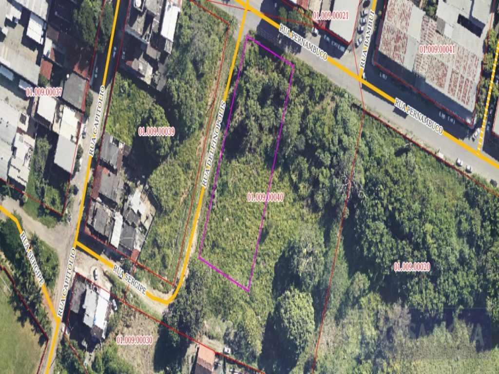 Lote à venda no Centro com 2385 m² — foto 3