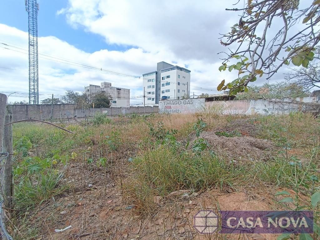 Lote para alugar no Belvedere II com 600 m² — foto 4