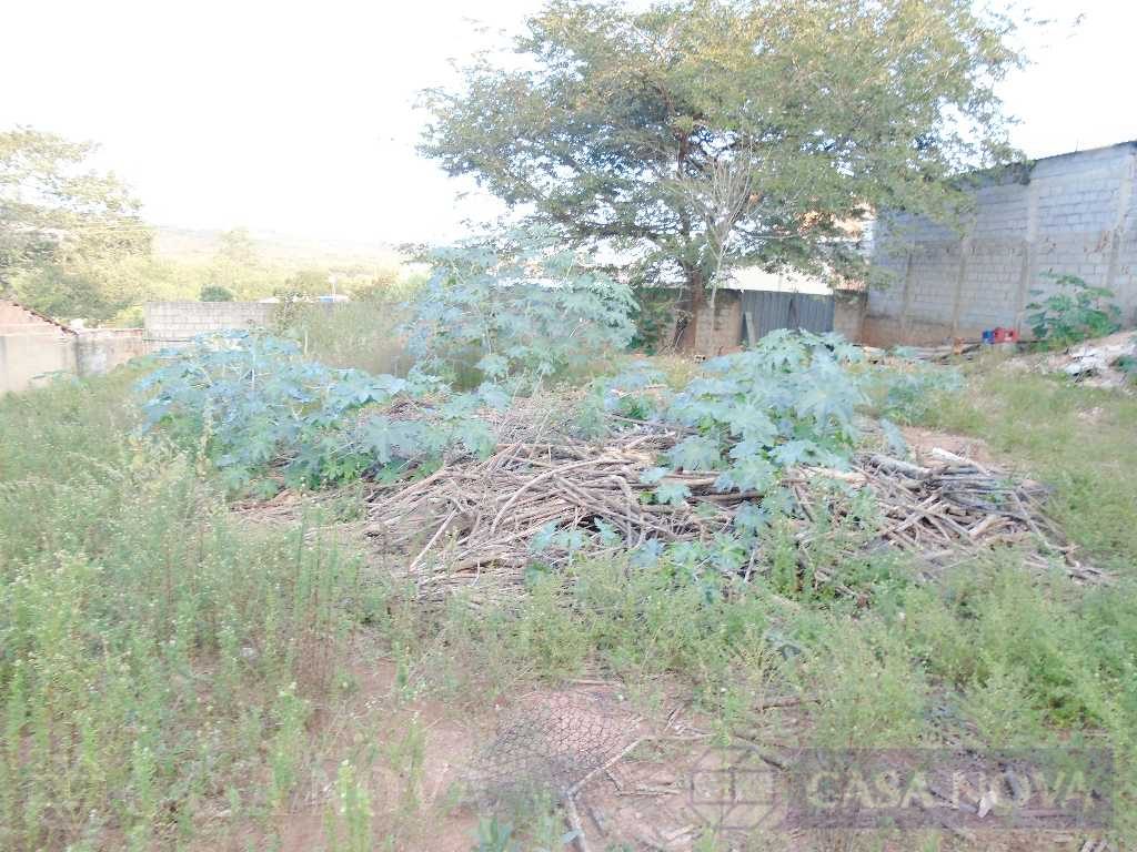 Lote para alugar no Belvedere com 700 m² — foto 2