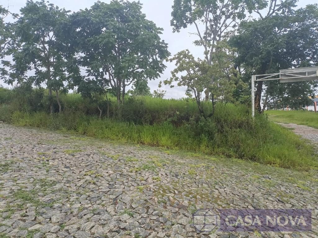 Lote para alugar no Manoel Valinhas com 256 m² — foto 2