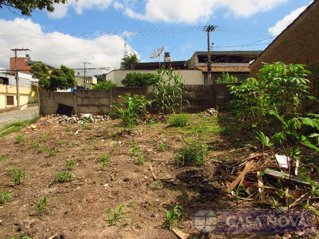Lote para alugar no L. P. Pereira com 168 m² — foto 3