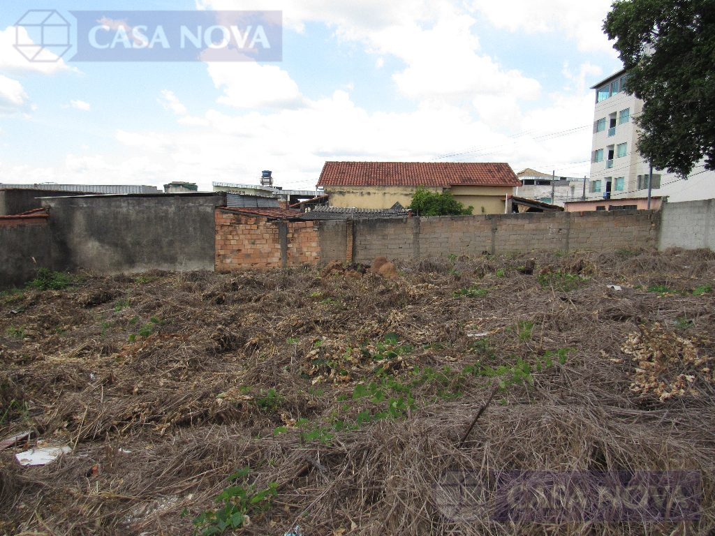 Lote para alugar no São Luiz com 500 m² — foto 3