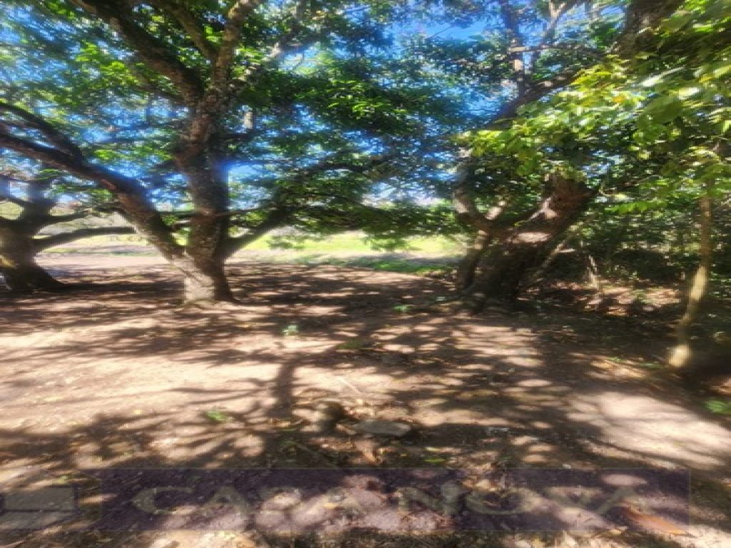 Lote à venda no Icaraí com 12450 m² — foto 5