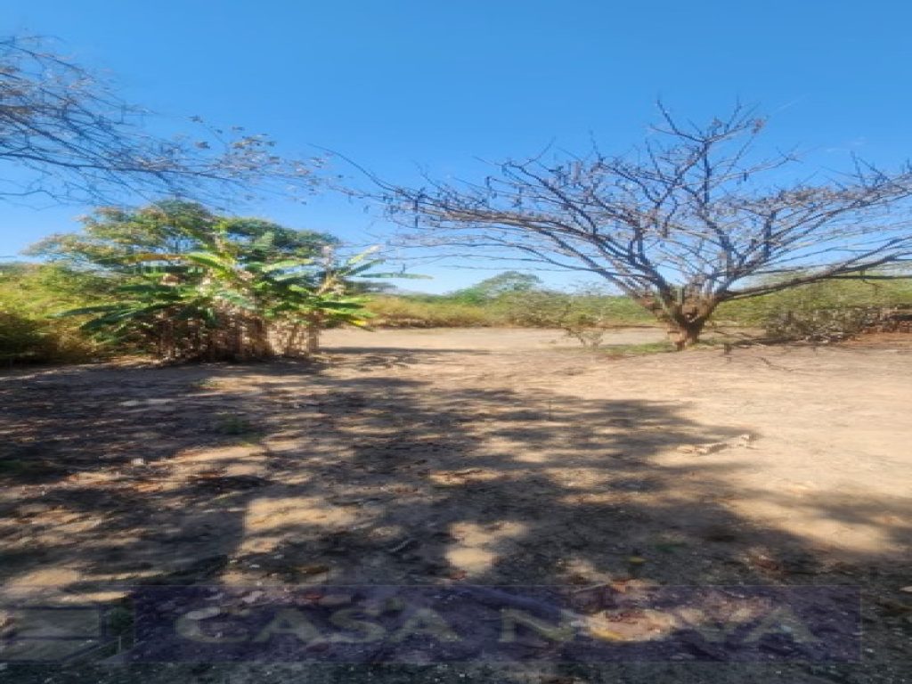 Lote à venda no Icaraí com 6098 m² — foto 3
